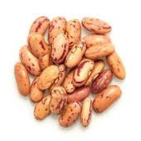 Pinto Beans