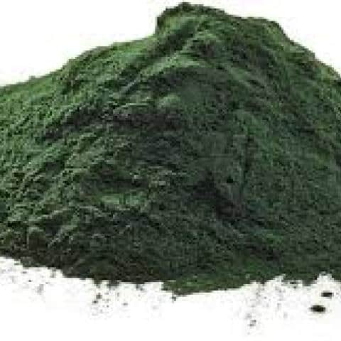 Chlorella Powder