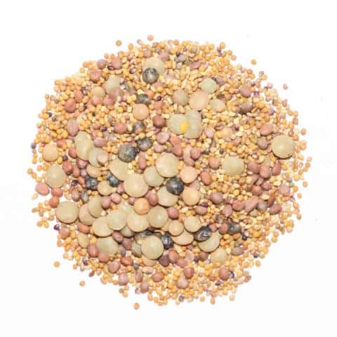 Sprouting Seed Mix