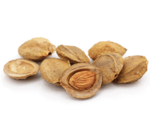 Apricot Pits/Kernels