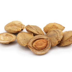 Apricot Pits/Kernels